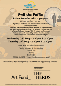 Pwll the Puffin